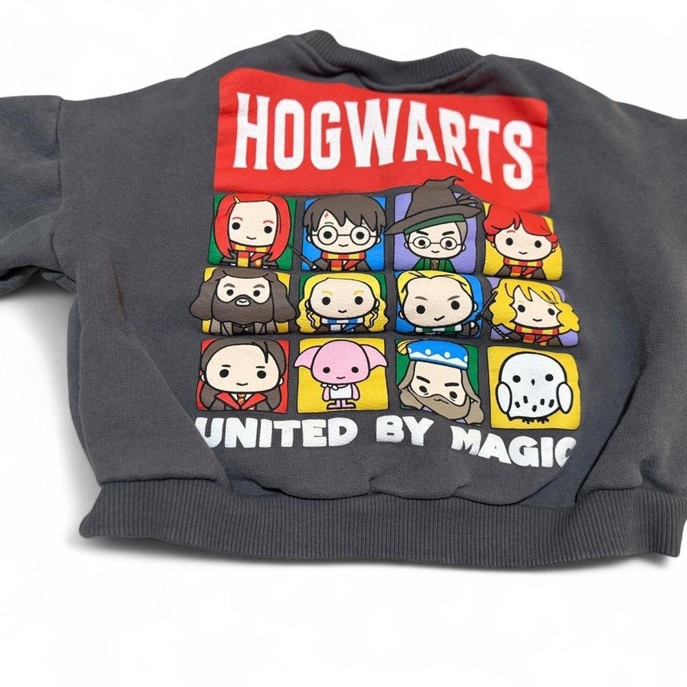 Zara toddlerHarry Potter crewneck